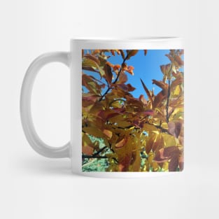 Fall foliage Mug